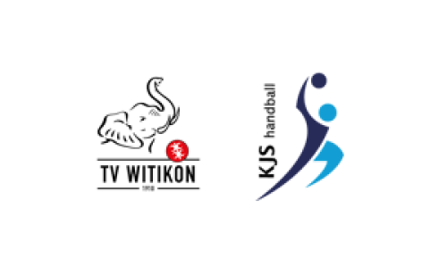 HSG TV Witikon - SG Rhyfall Munot