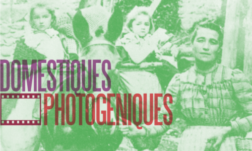 Domestiziert und fotogen