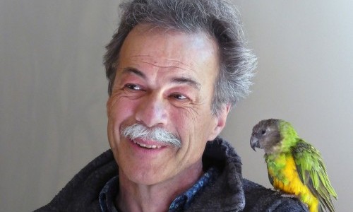 Jürg Beeler:  "Der blinde König und sein Narr"