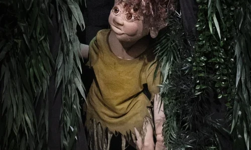 Muggli, dr Waldtroll