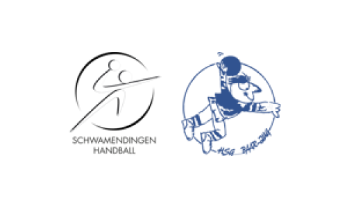 Schwamendingen Handball - HSG Baar/Zug