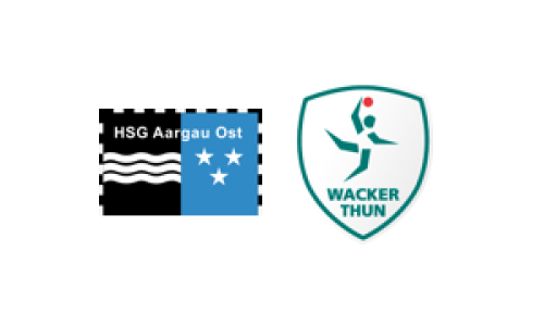 HSG Aargau Ost - SG LakeSide Wacker-Steffisburg