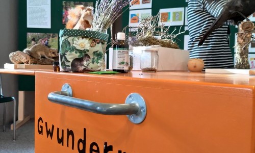 Gwunderstunde: Ausgraben