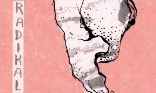 &laquo;Radikal&raquo; &ndash; Linie als Stimme