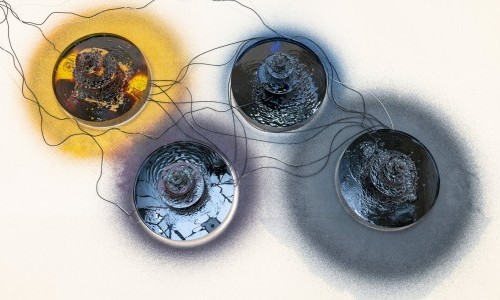 Vernissage - Ca&shy;li&shy;ne Aoun