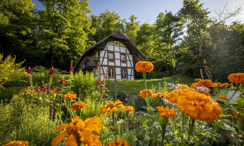 Freilichtmuseum Ballenberg, Hofstetten
