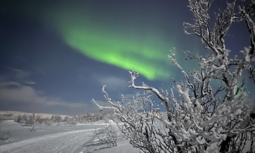 Abenteuer StadtNatur: Sonne und Polarlichter