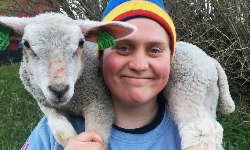 Woolly – Schaf dir das Glück