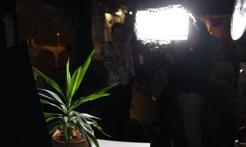 Licht für Film und Fotografie