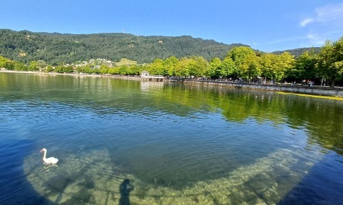 Bodensee-Vorarlberg Tourismus