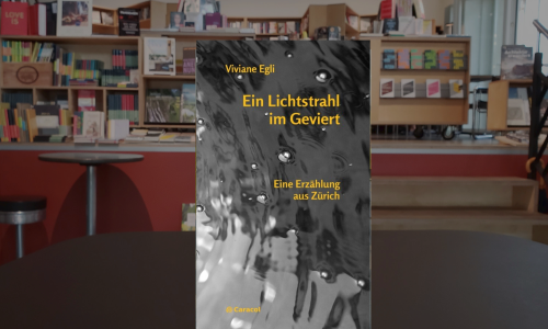 Viviane Egli ● Ein Lichtstrahl im Geviert