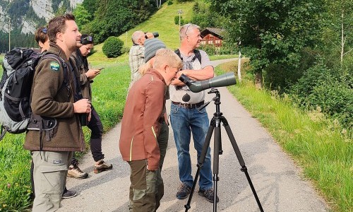 Schweizer Wandernacht: Auf den Spuren von Mensch und Reh