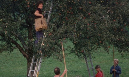 Alle meine &Auml;pfel: Die Sortenvielfalt im Wandel der Zeit