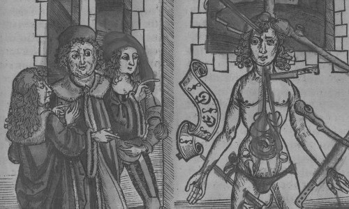 Wundarznei, Kr&auml;uterkunde und Hom&ouml;opathie