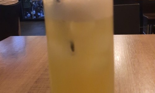 Chicago Musik Bar & Lounge