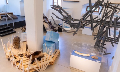 Mammuts an der Thur?