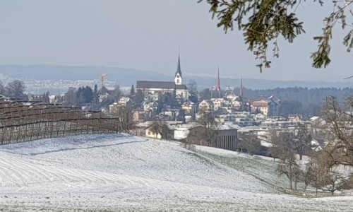 Dreifachturnhalle Bachmatten