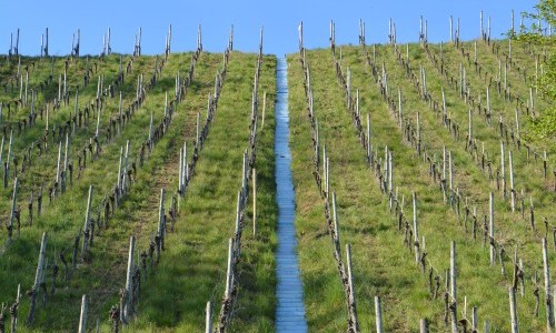 Kunst und Spiritualit&auml;t im Dialog