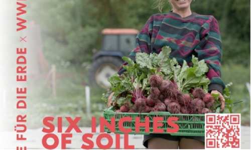 Pop-Up-Kino: Six Inches of Soil
