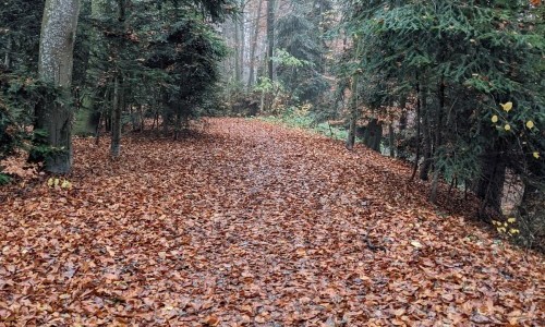 Eingang Wilerwald (Friedhof Wil)