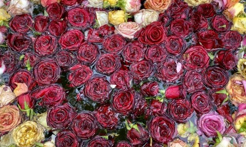 Kreatives Schreiben - Inspiration pur mit &Uuml;bungen, Tipps und Austausch