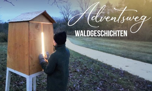Adventsweg "Waldgeschichten"