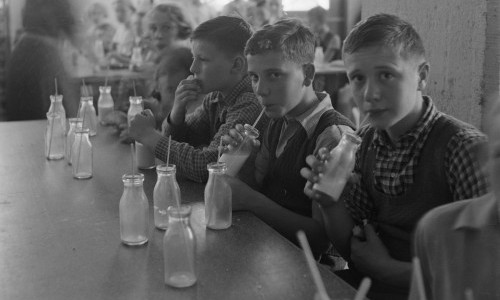 Weisse Milch und schwarze Listen. Von der Ferienmilchspende  hin zur Schulmilch (1870&ndash;1930)