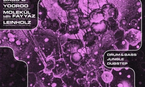 Reset Vol. 24, Sl8r, Diflora, Bass D, Yooroo, Fayyaz b2b Molekül, Leinholz