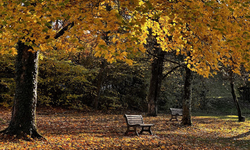 Parc de la Mare