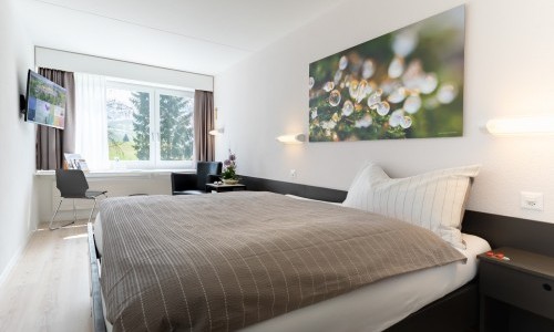 Hotel Allegro