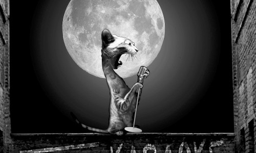 Galvanik Karaoke Night