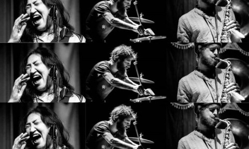 Türköz, Sartorius, Blöchlinger