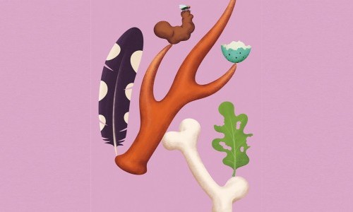 Vernissage - Spuren &ndash; F&auml;hrten, Frass und Federn