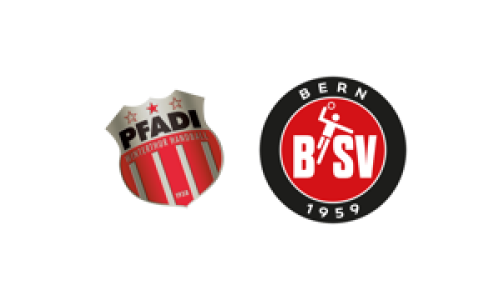 Pfadi Winterthur - BSV Bern