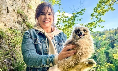 KiKa: Anna und die wilden Tiere