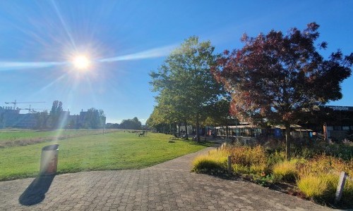 Universit&eacute; de Lausanne - Amphip&ocirc;le