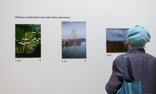 Fotowettbewerb Schnappschuss: Fokusf&uuml;hrung: Schnappschuss