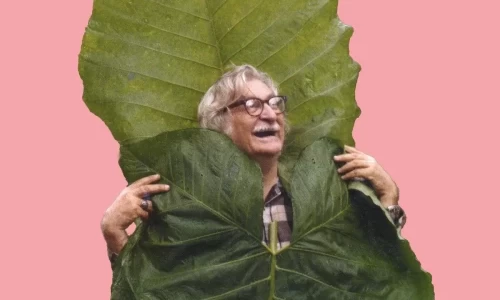 Roberto Burle Marx. Modernismo tropical