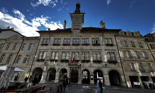 Dear2050: Entangled Forests - Forum de l'Hôtel de Ville, Lausanne