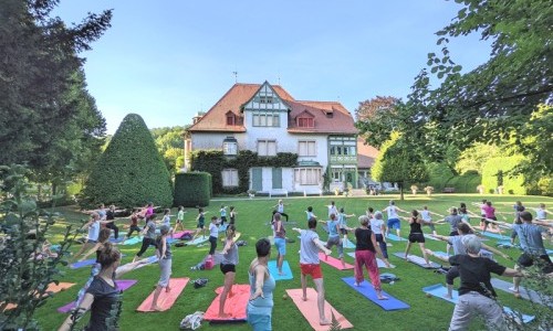 Yoga im Park: Urban Yoga