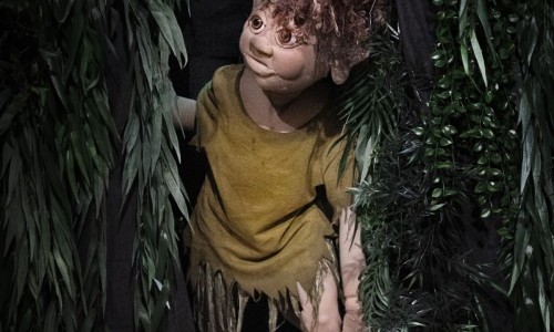 Muggli, dr Waldtroll