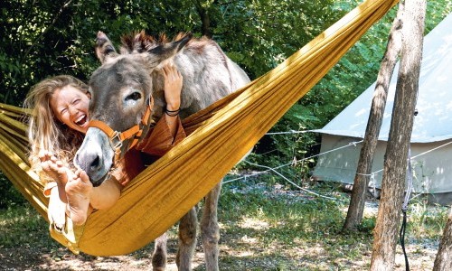 Explora präsentiert: Drei Esel im Balkan