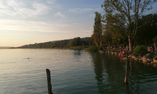 Festhalle Seepark