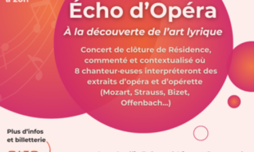&Eacute;cho d'op&eacute;ra : &Agrave; la d&eacute;couverte de l'art lyrique