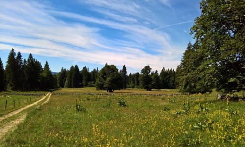 360&deg; Gr&uuml;n