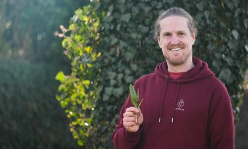 Das erste Gr&uuml;n: Essbare Wildpflanzen kennenlernen