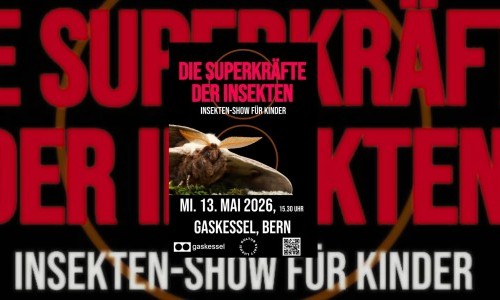 Die Superkr&auml;fte der Insekten (Multimedia/Tierfilm/Natur)