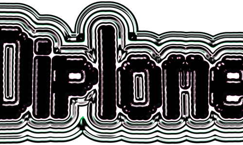 Final Master Projects