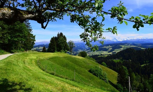 Emmental mit Alpenblick
