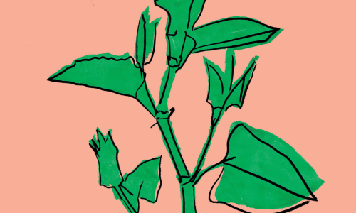 &laquo;Altstetten Alphabet&raquo;: Spaziergang mit der K&uuml;nstlerin